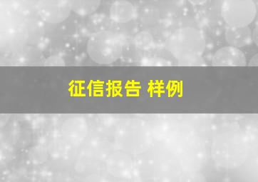 征信报告 样例